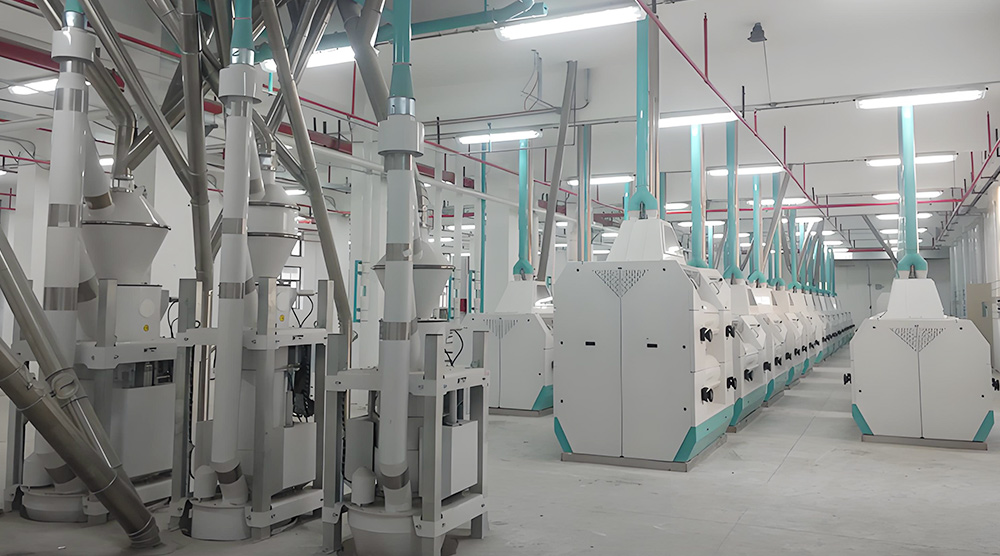 60oTPD Flour Production Line
